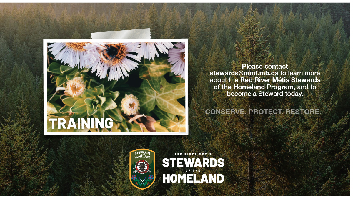 Manitoba Métis Federation - Michif Word of the Day - November 4, 2020 ...