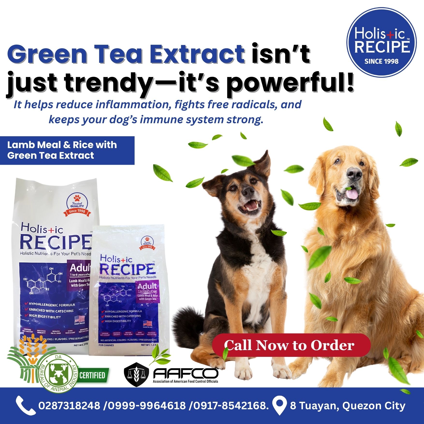 Holistic - Green tea in your dog’s bowl? Yup! It’s one of nature’s best ...