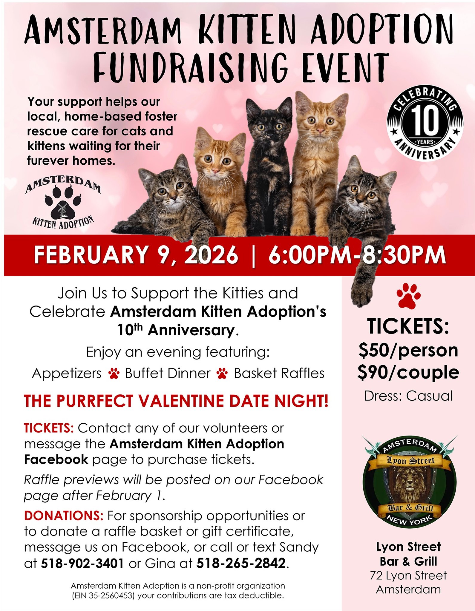 💗🐾 Join us for the... - Amsterdam NY Kitten Adoptions | Facebook