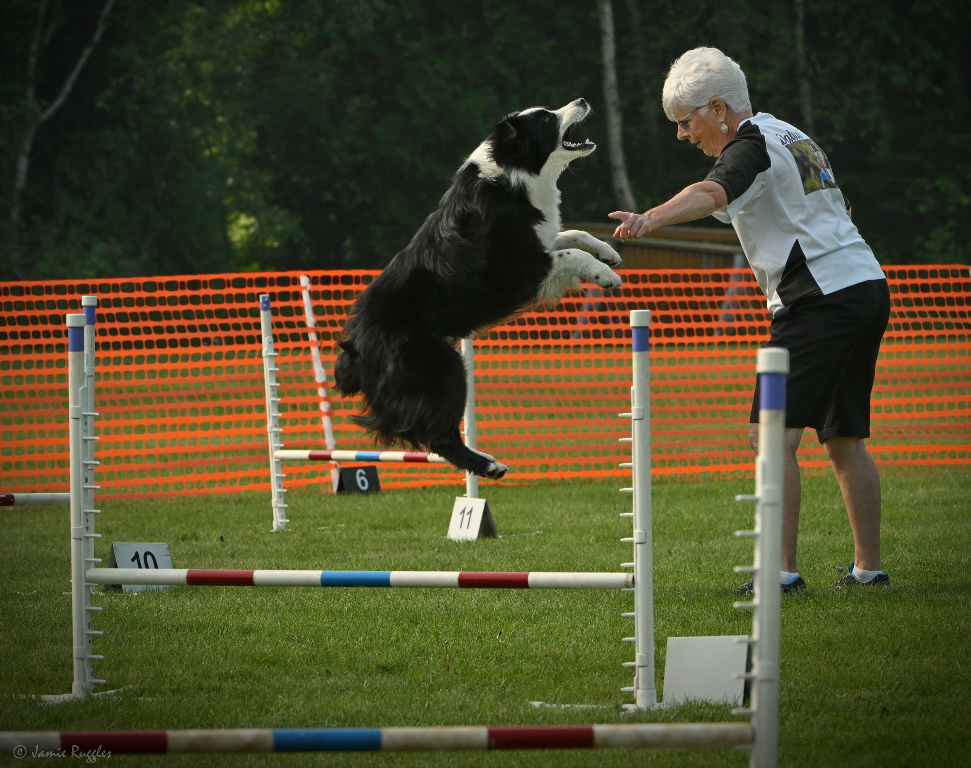 Fun 4 All Agility Club | Thunder Bay ON