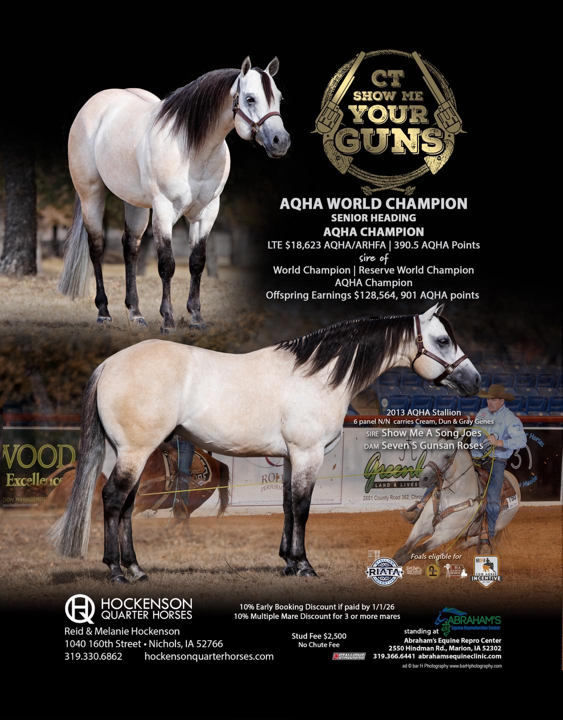 Today's Horse Magazine - Check out WALZ Performance Horses, LLC ...