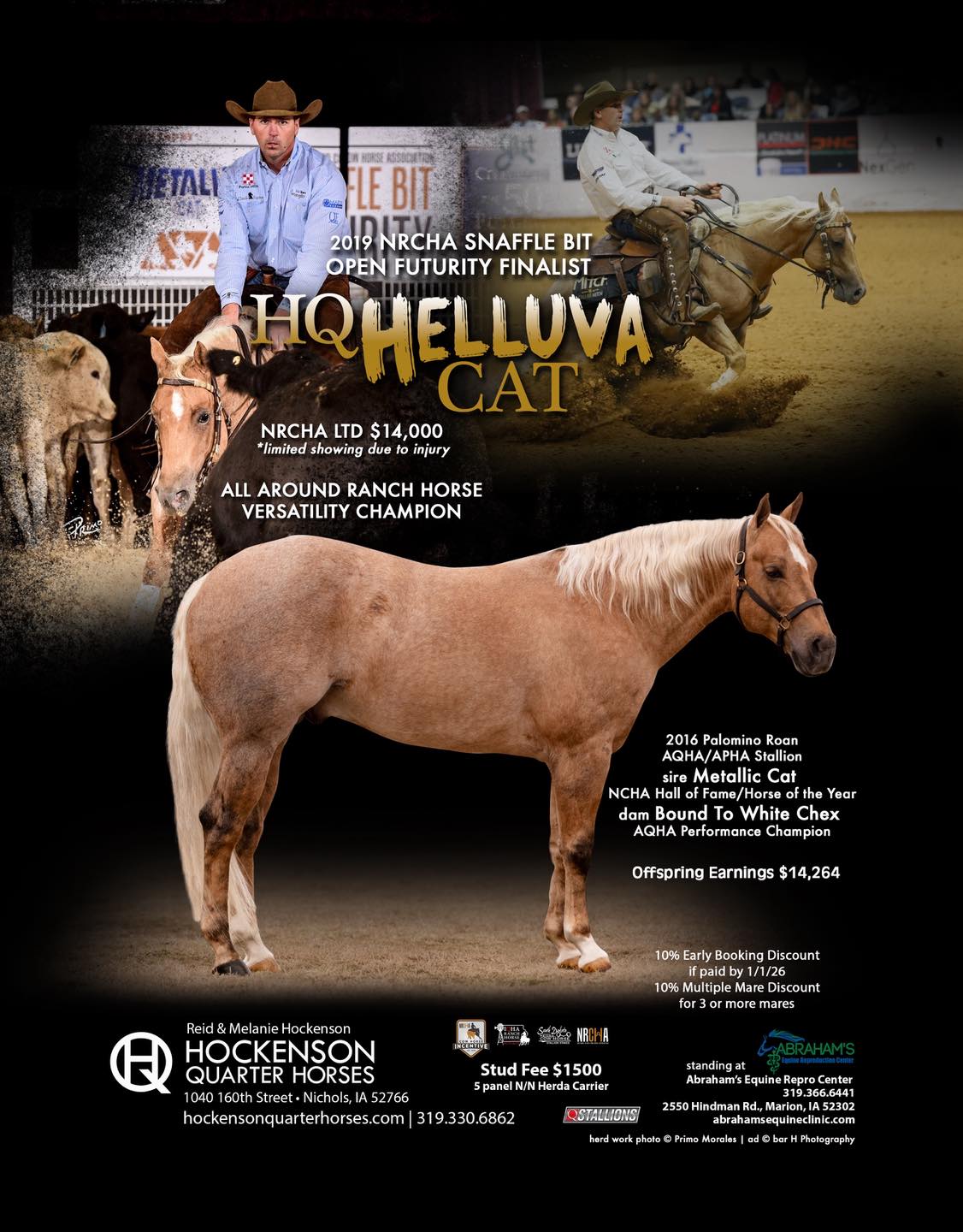 Today's Horse Magazine - Check out WALZ Performance Horses, LLC ...