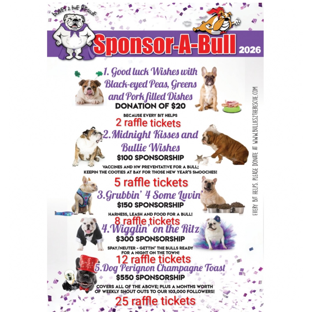 🎉 2025 was a HUGE year for Bullies... - Bullies 2 The Rescue | Facebook