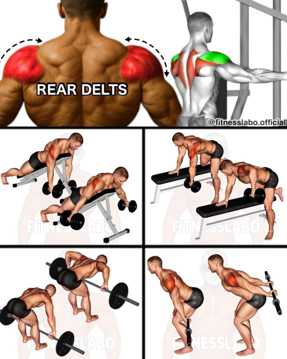 Town - How to Build Bigger Rear DELTS ① Incline Rear Delt Swing ② One ...