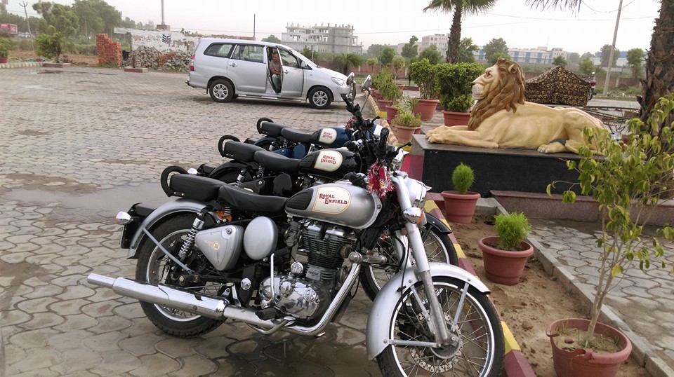Royal Rajput's