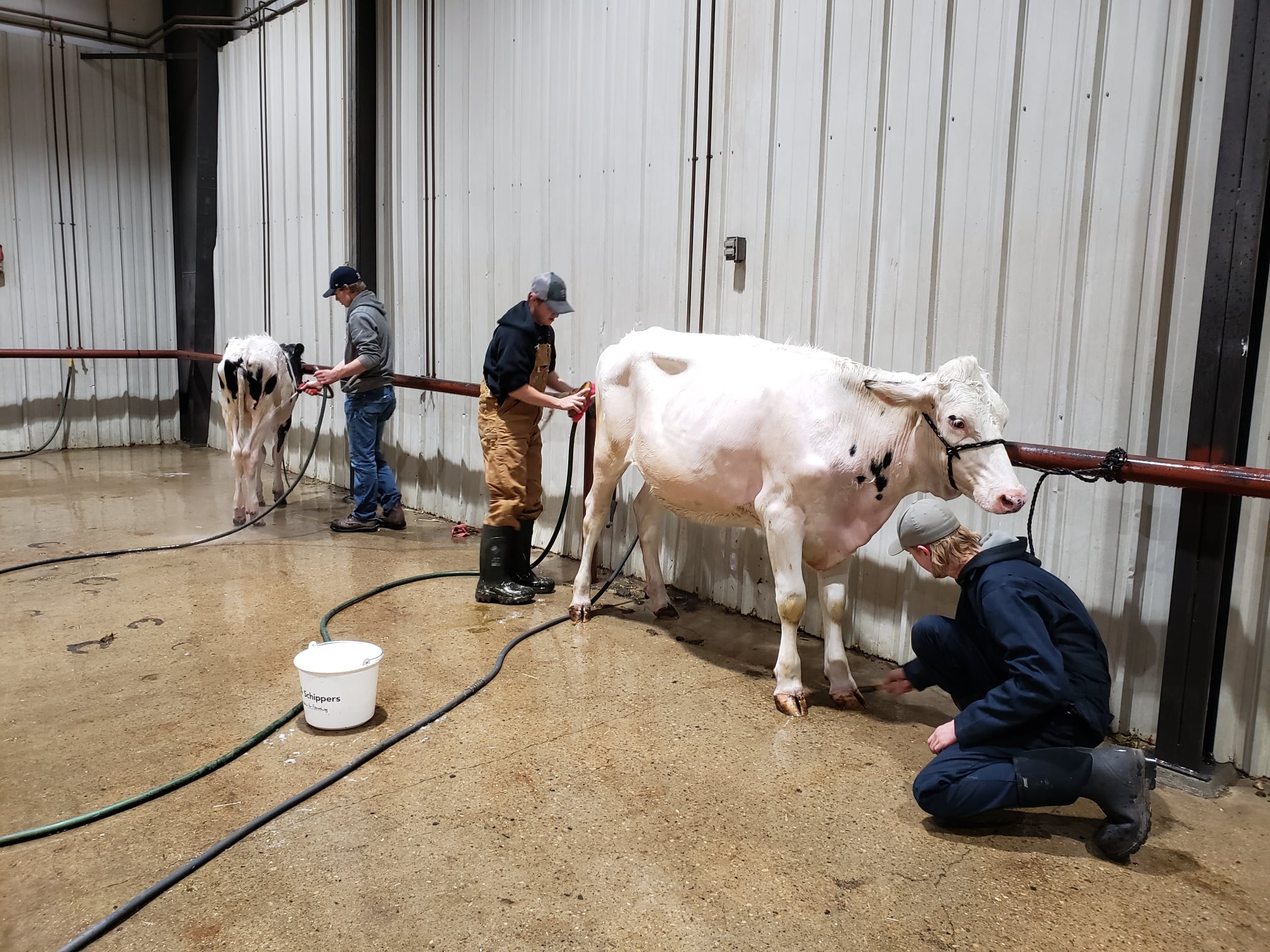 The Dairy... - Lakeland College SMF Dairy Unit | Facebook