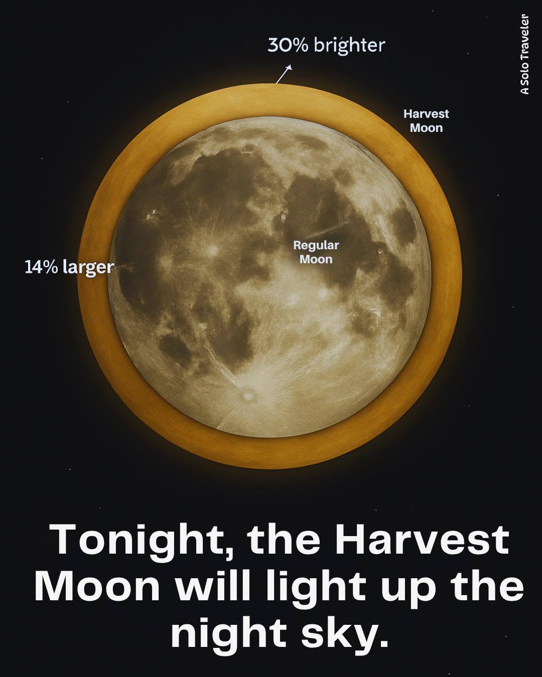 A Solo - The Harvest Moon will light up the night sky tonight ...