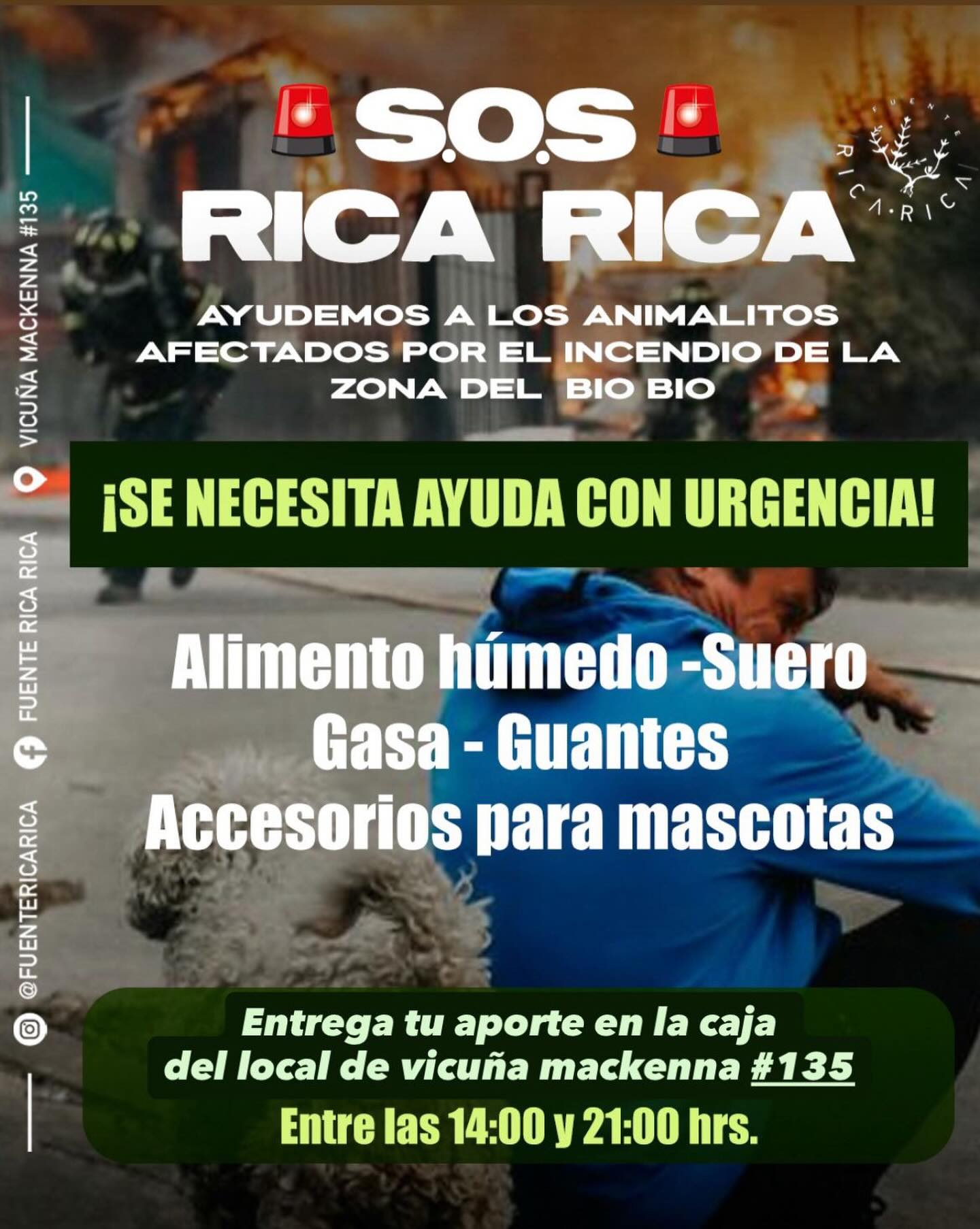 Fuente Rica Rica | Santiago