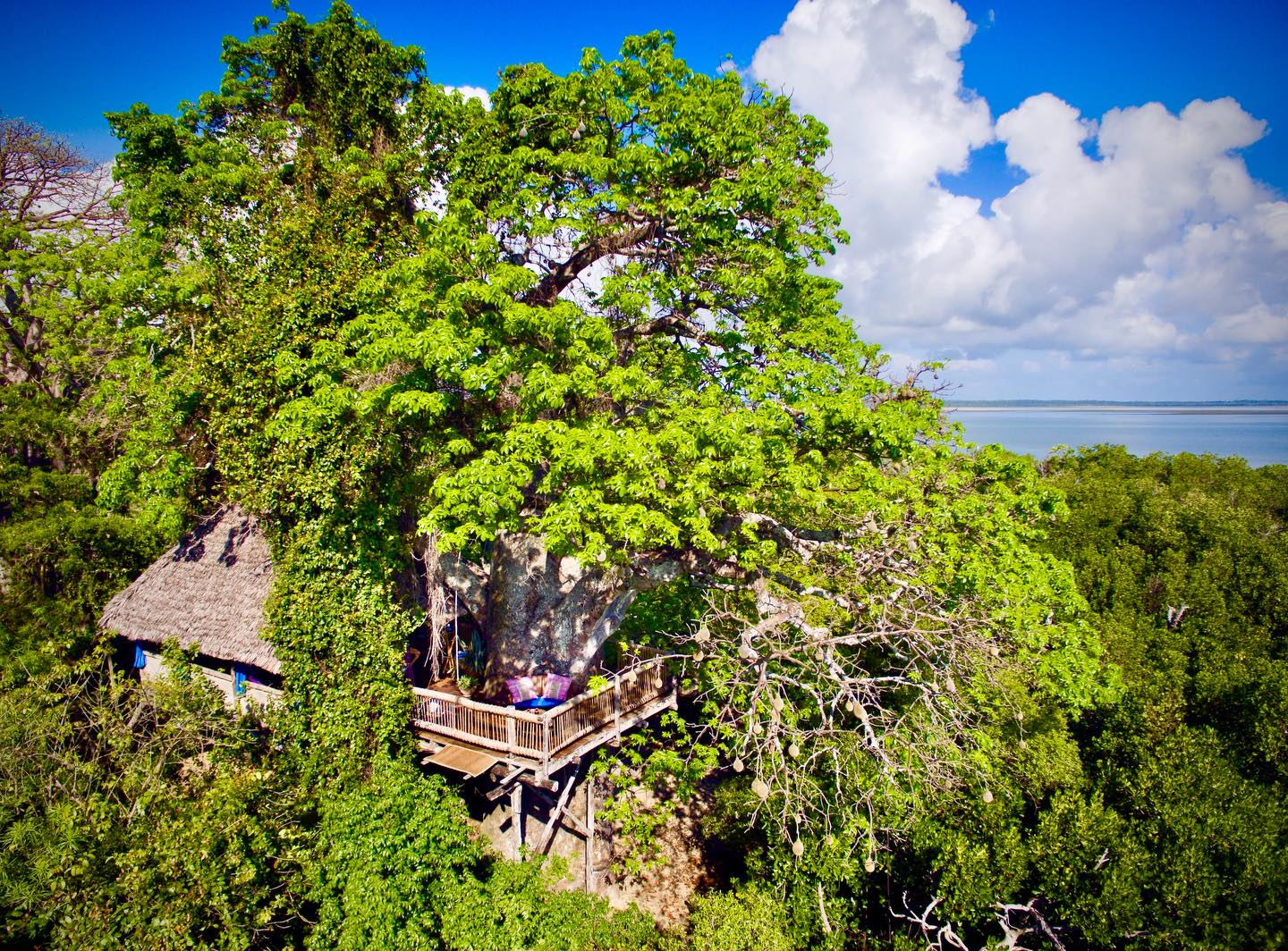 Chole Mjini Treehouse Lodge