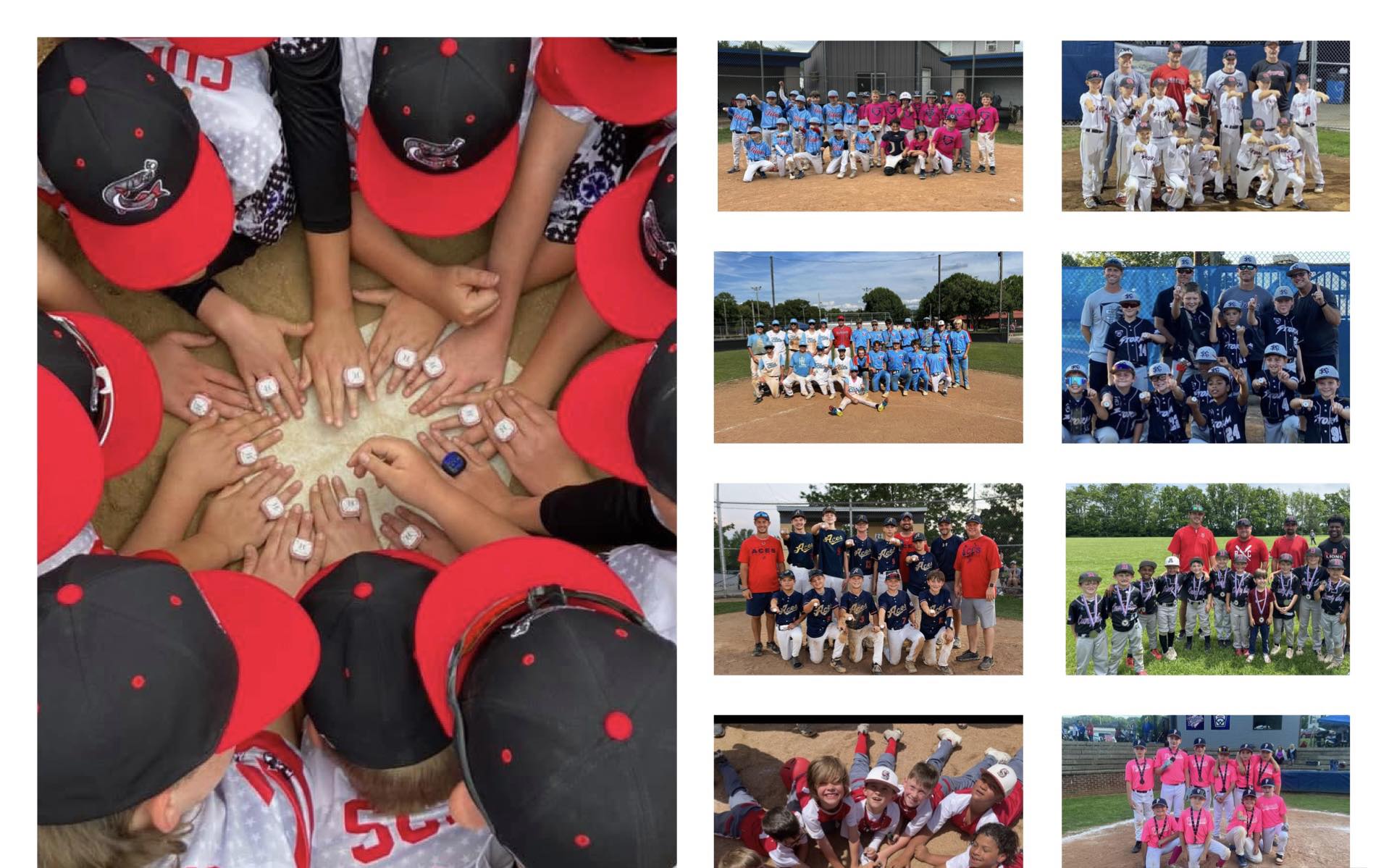 Bluegrass Little League - ATTENTION BLL FAMILIES!! The Bluegrass ...