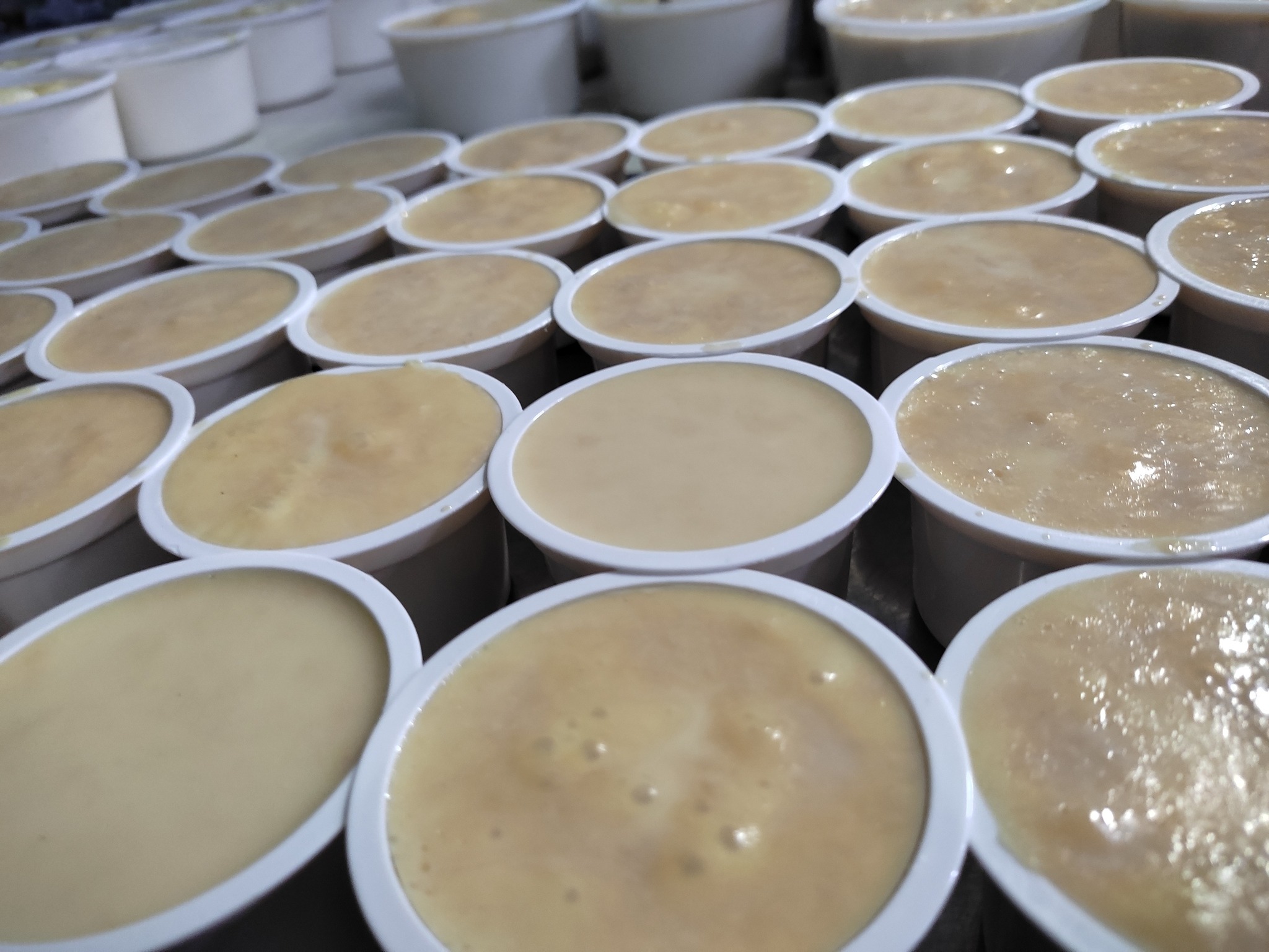 Captain Bakeology | Rangpur