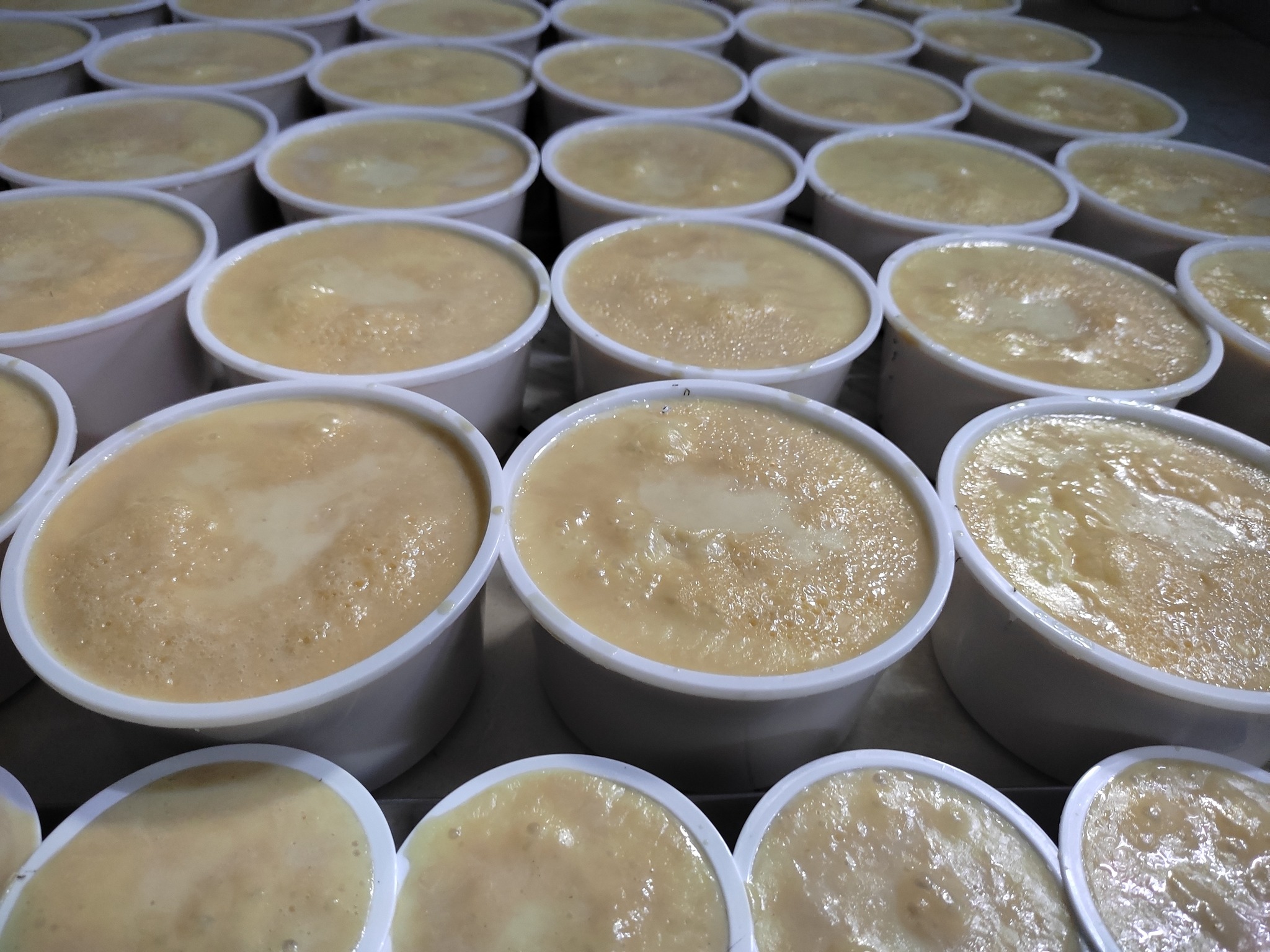 Captain Bakeology | Rangpur