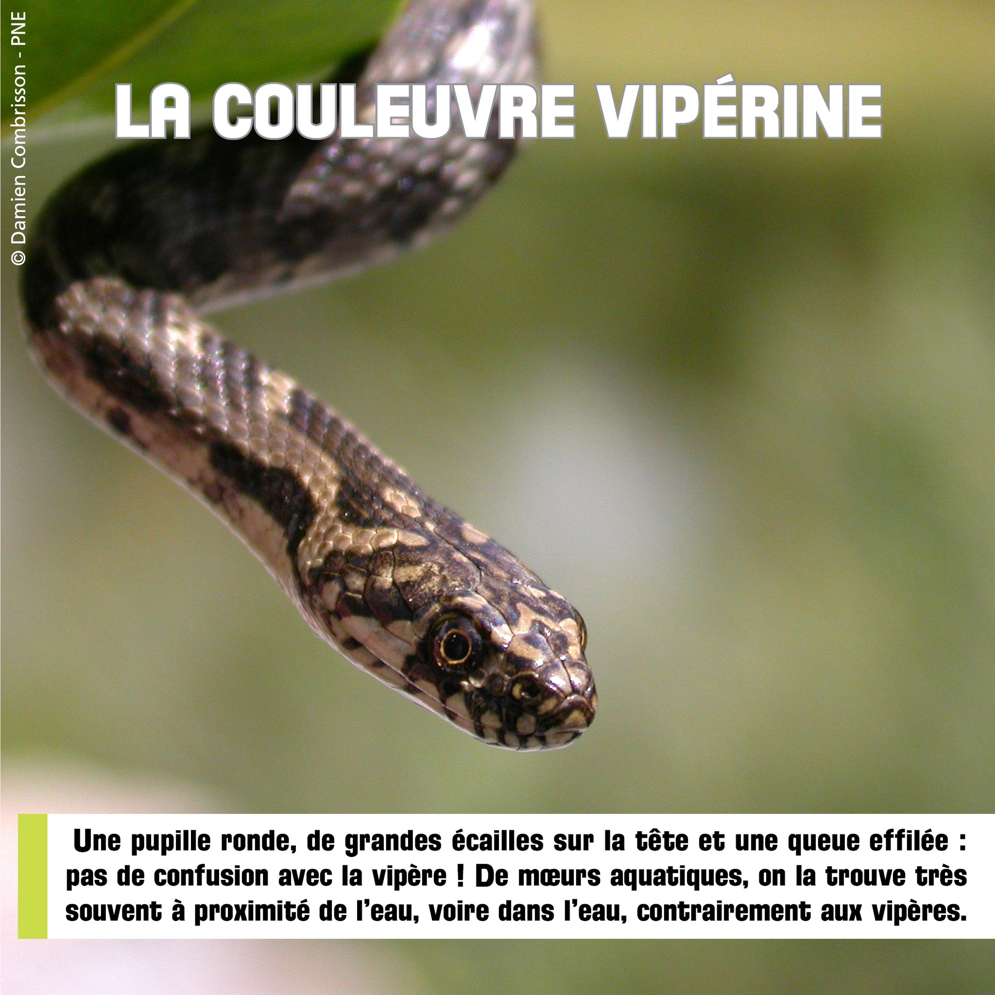 Parc national des Ecrins added... - Parc national des Ecrins