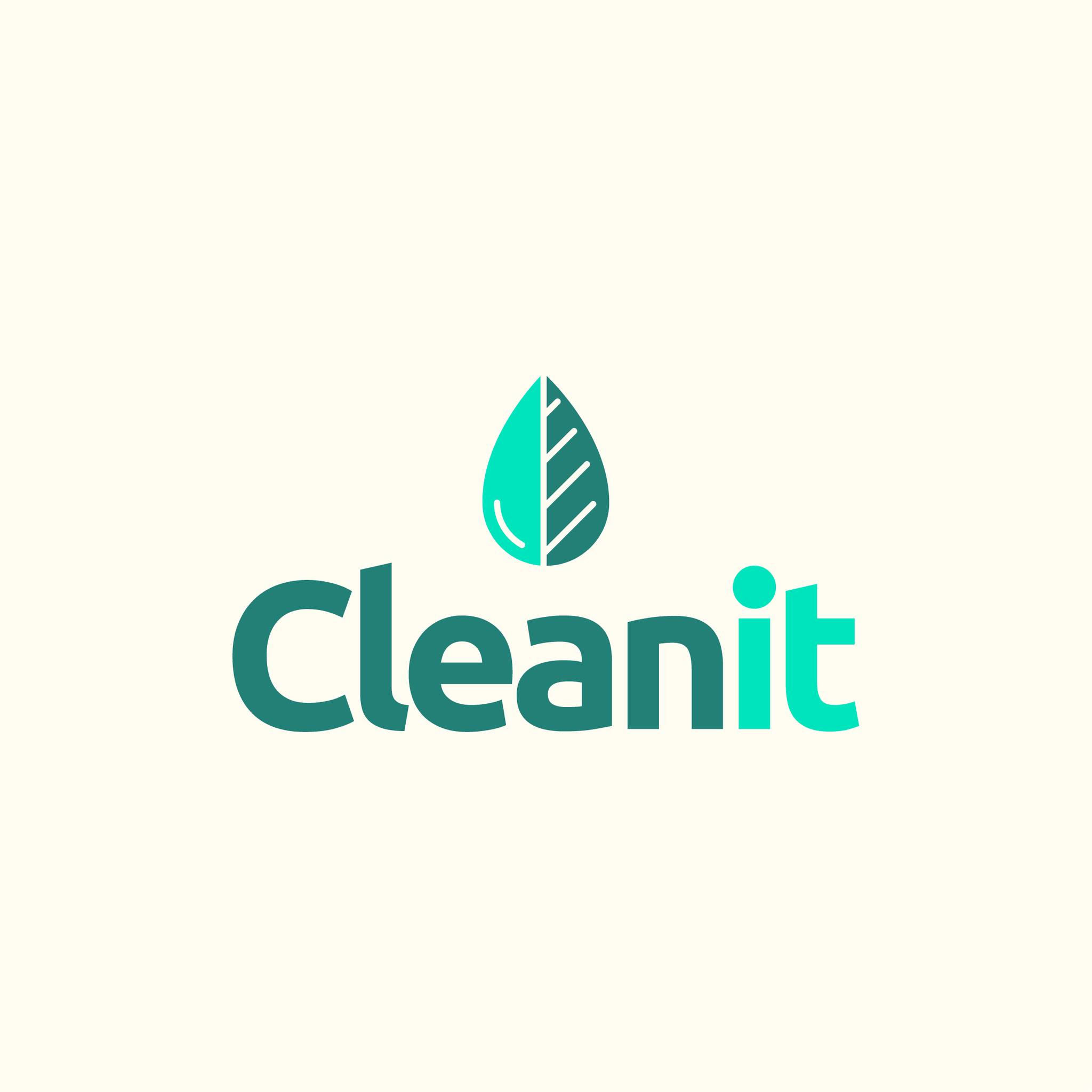 Cleanit