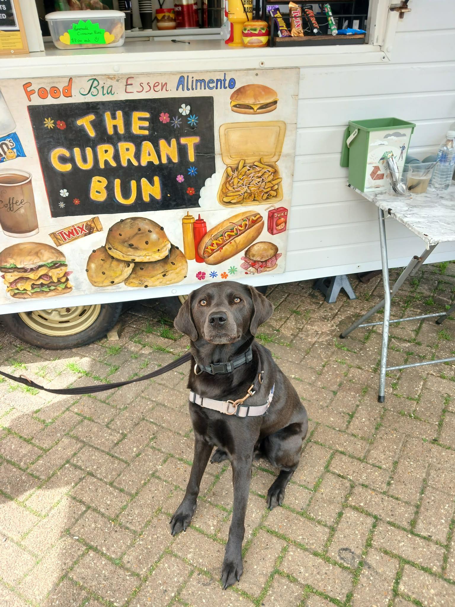 The Currant Bun Catering Truck | Okehampton