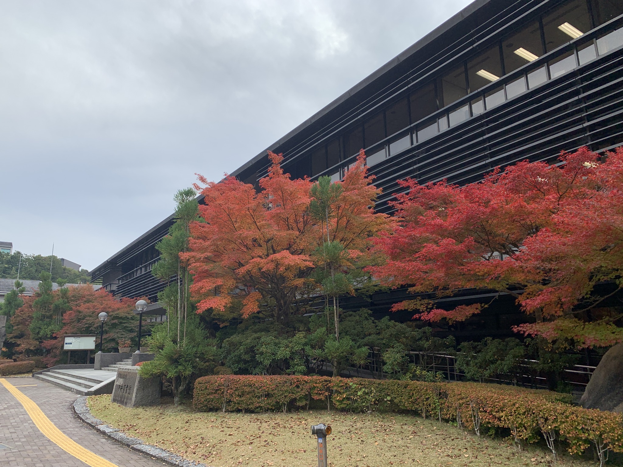 京都産業大学 / Kyoto Sangyo... - 京都産業大学 / Kyoto Sangyo University