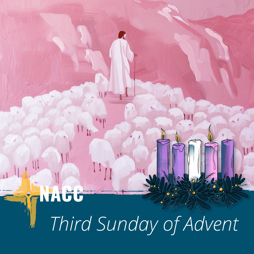 This week, we... - National Association of Catholic Chaplains | Facebook