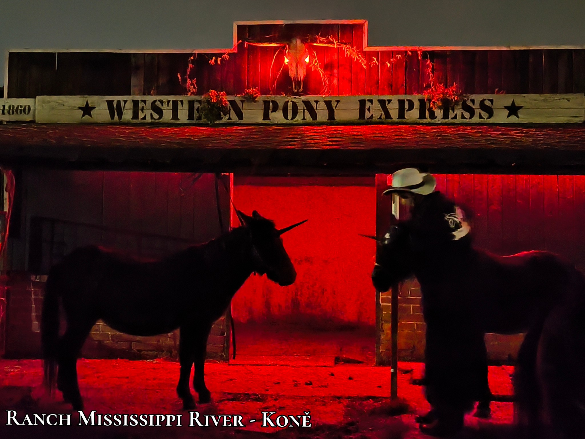 Ranch Mississippi River -... - Ranch Mississippi River - Koně