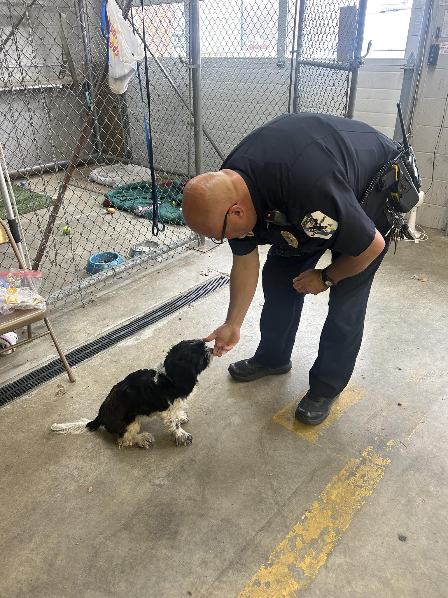 City - Update: RVPD has located a new home for the dog! DOG AVAILABLE ...