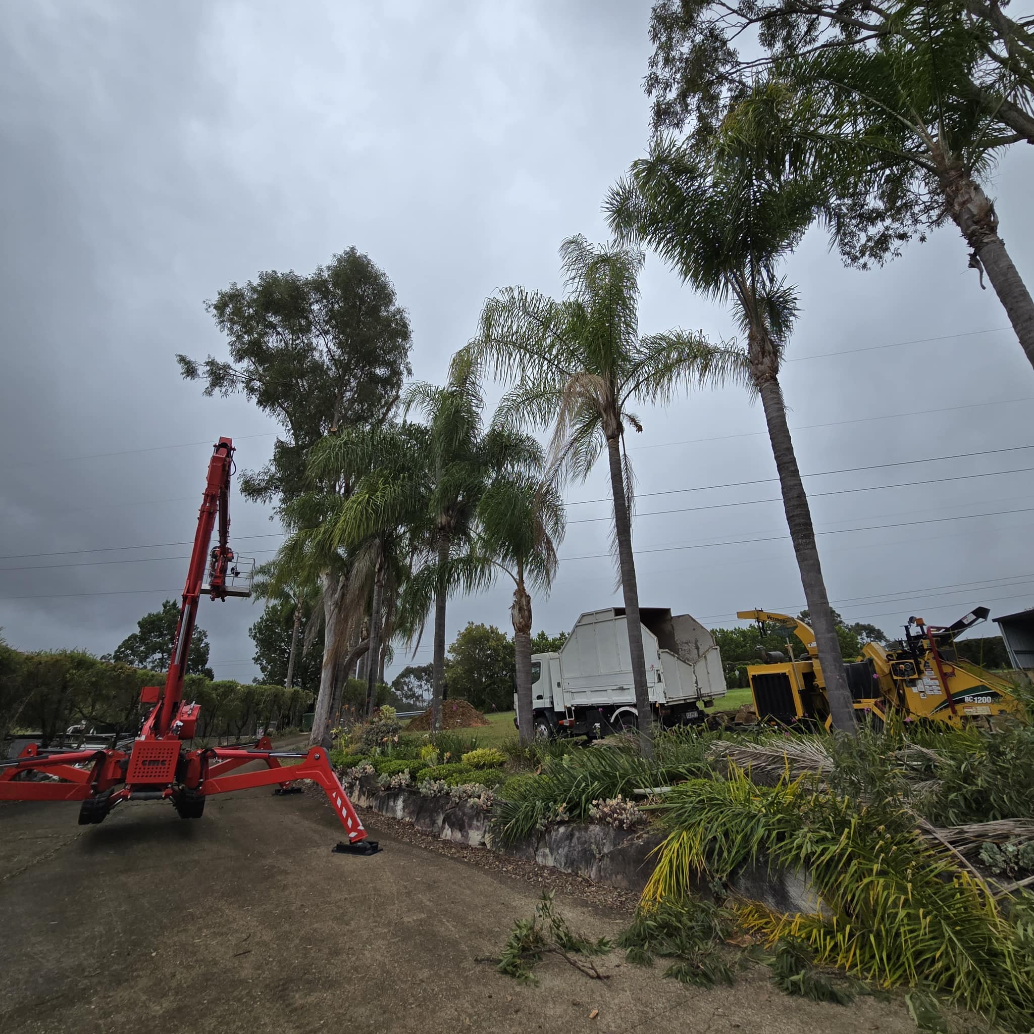 Trees & Landscape Creations | Gold Coast QLD