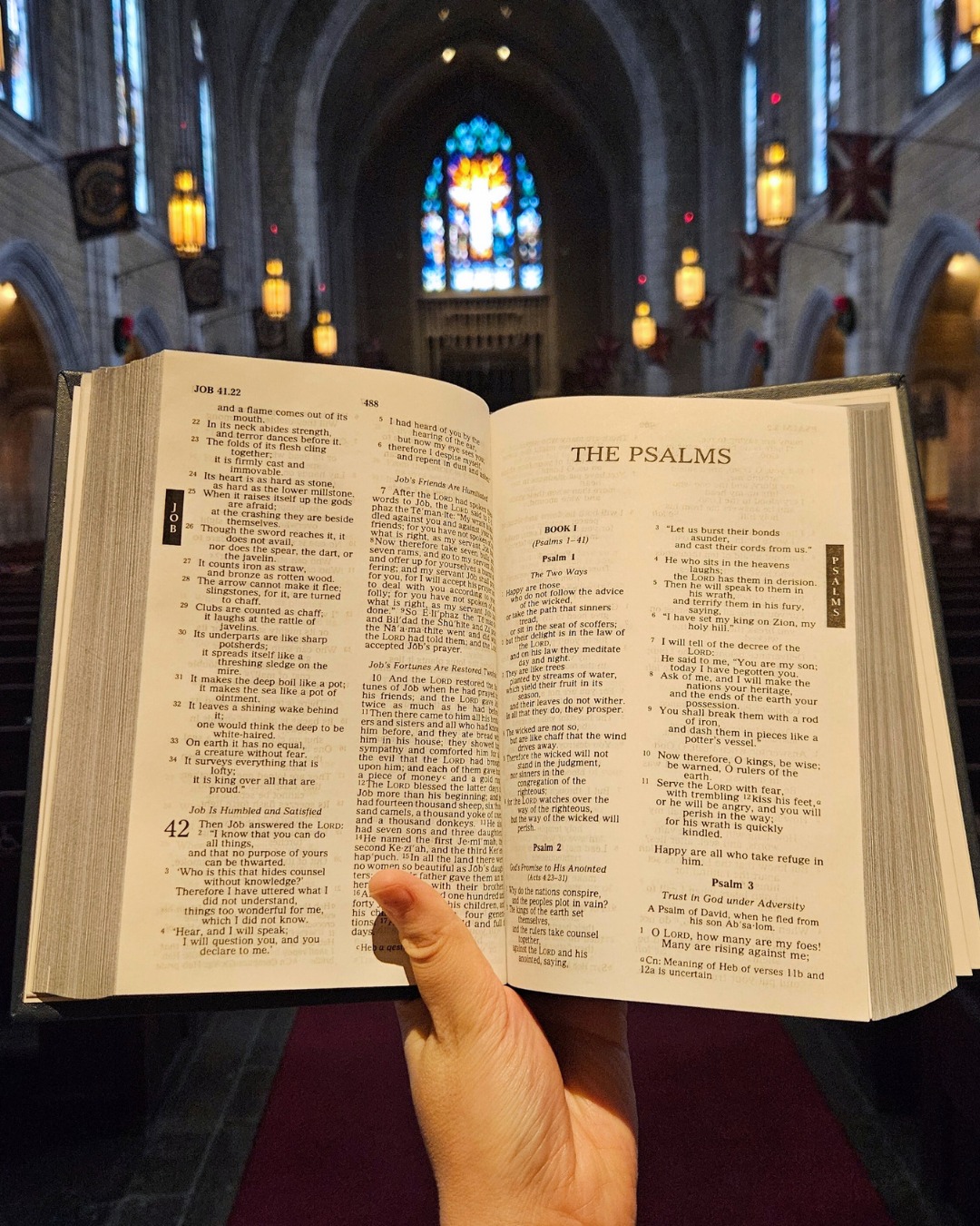 The Church - Upcoming Bible Studies at our church! 📖🙏🕊️ We have two new ...