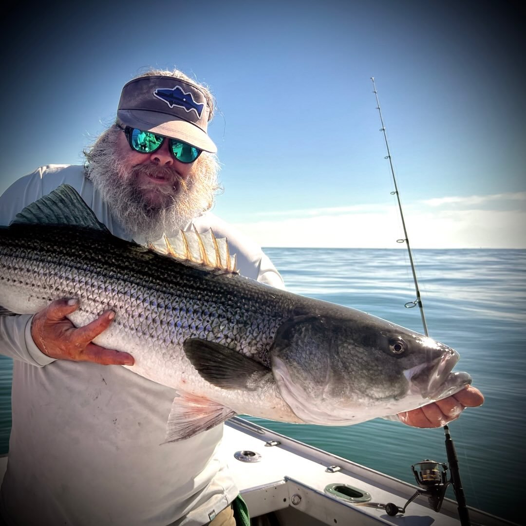 🐟Fishing Passion 🐟 | 🎣 SQUID STRIP + FLASHER RIG | Facebook