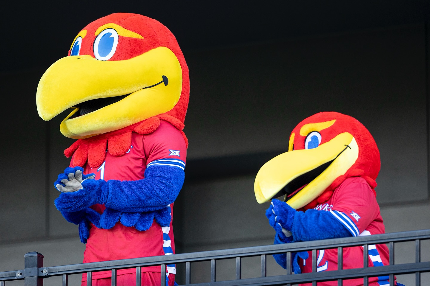 Happy National Mascot Day to Big Jay & Baby Jay! ??