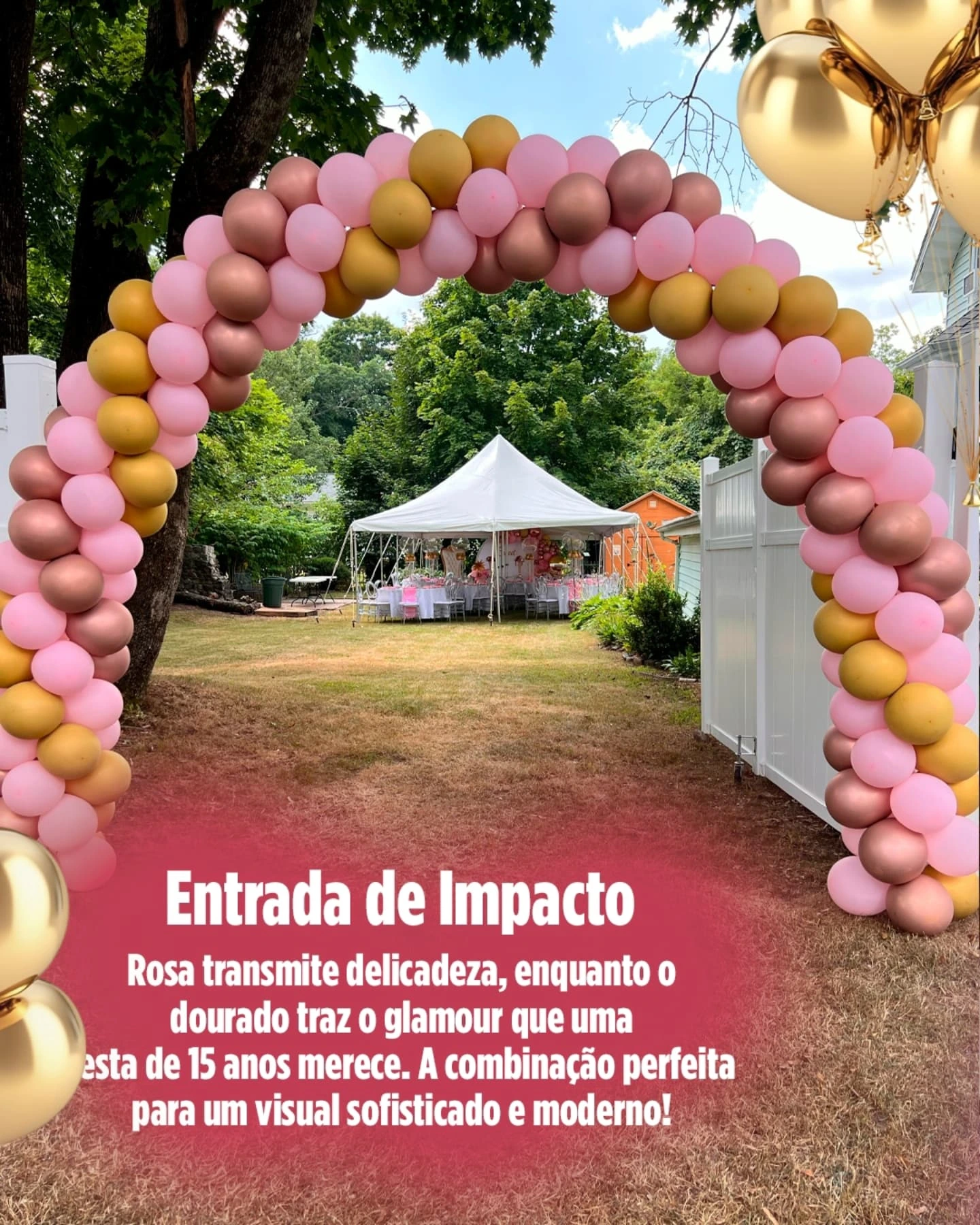 Partner's Balloon Design