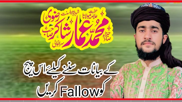 صاحبزادہ علامہ عمار شاکر رضوی