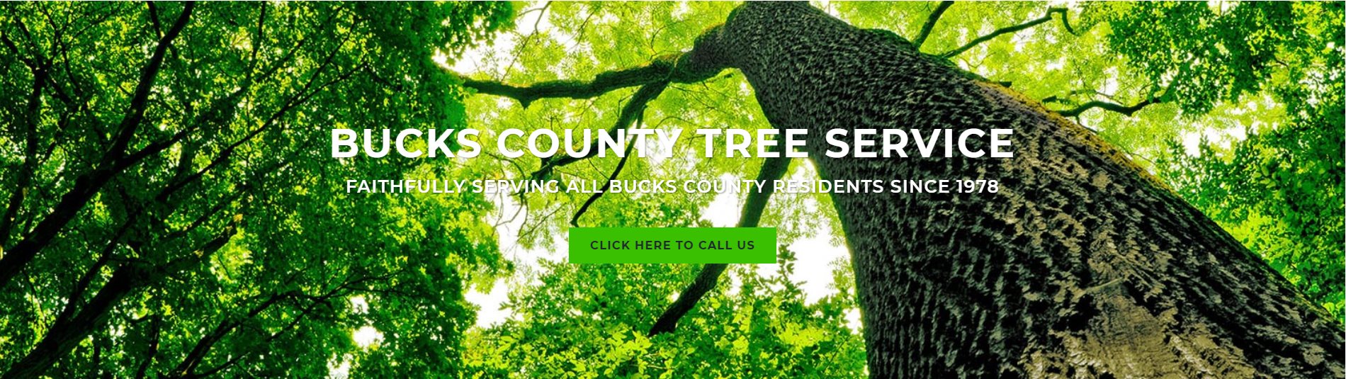 Bucks County Tree Removal