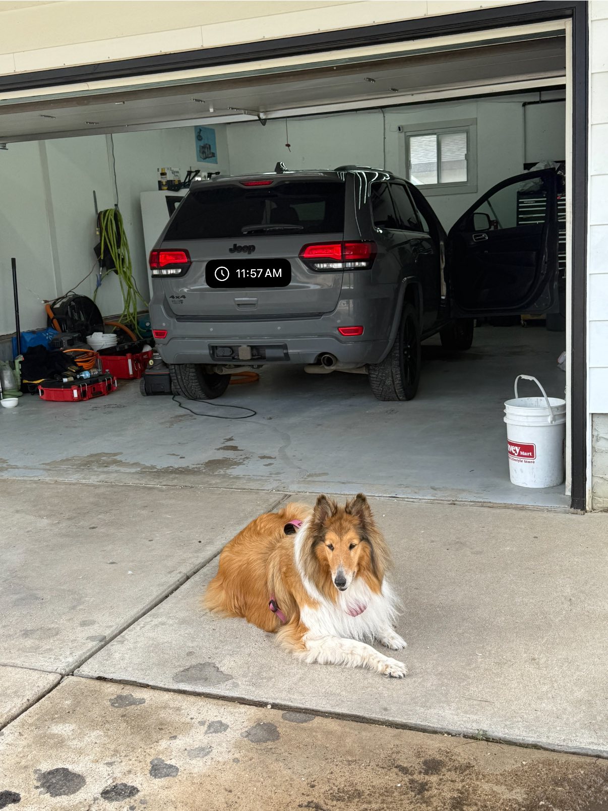 Another Word for Detailing Cars: Enhancing Shine