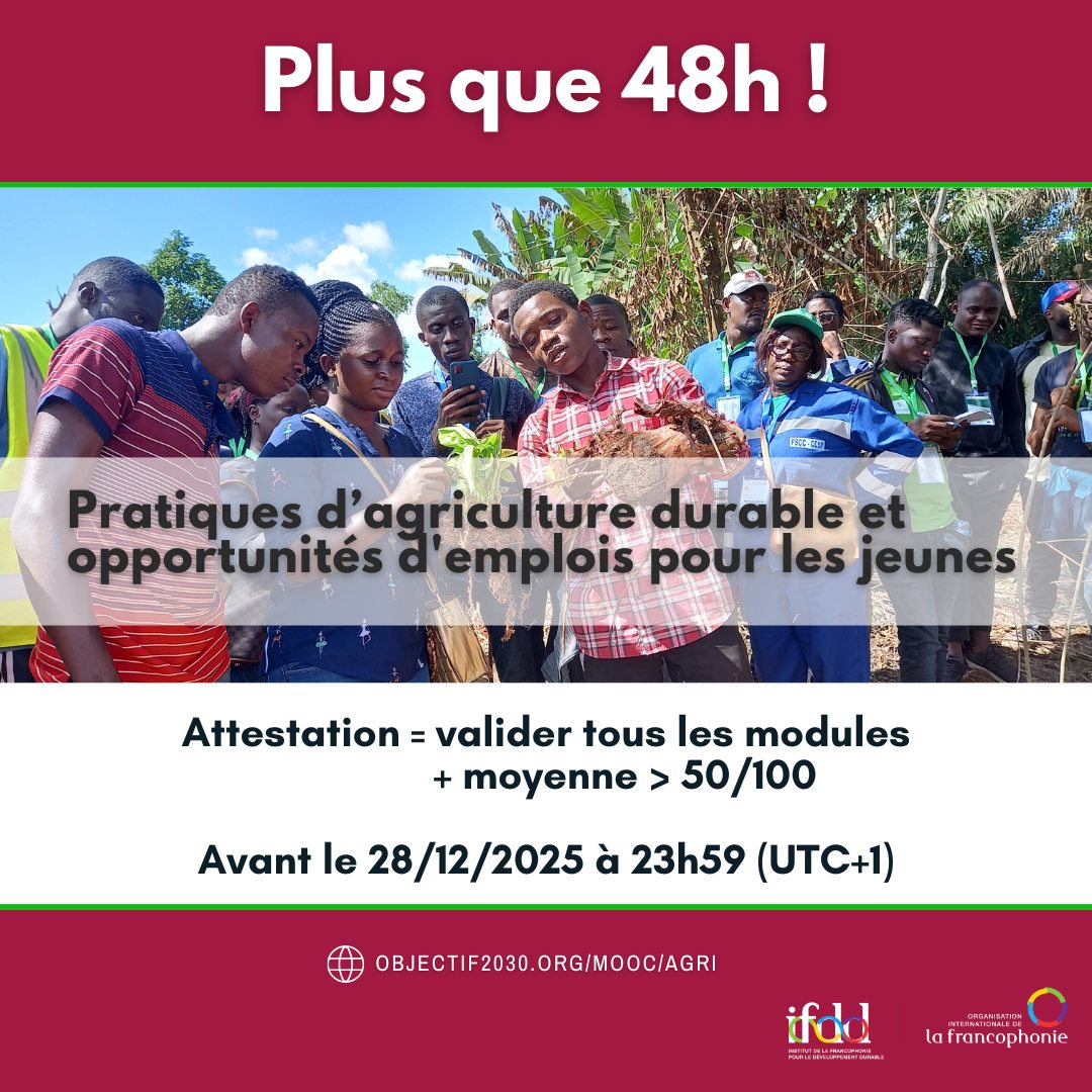 Institut de la Francophonie pour le développement durable - IFDD ...