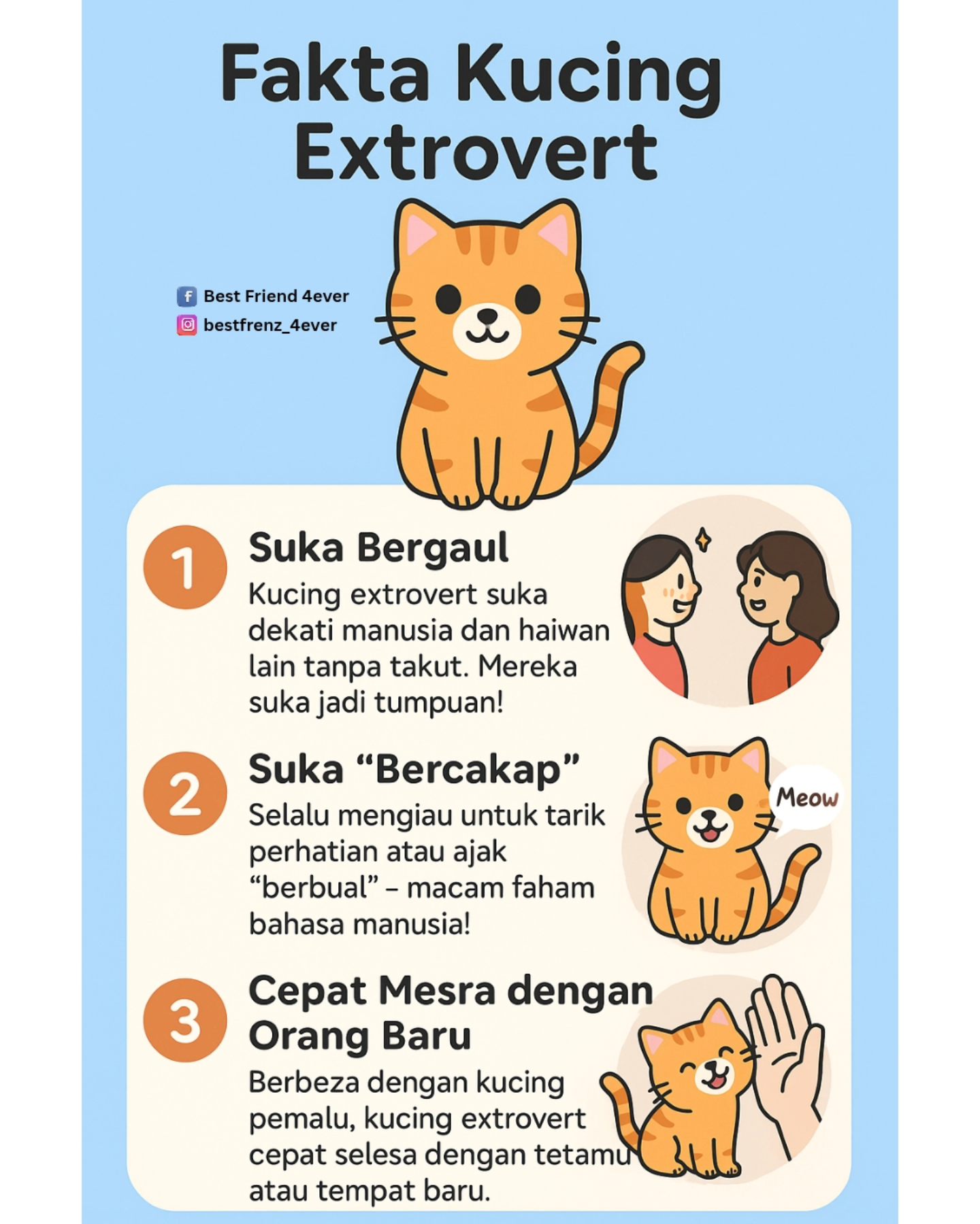 😺 Kucing... - Shah Alam Cat Grooming, Lion Cut & Cat Hotel | Facebook