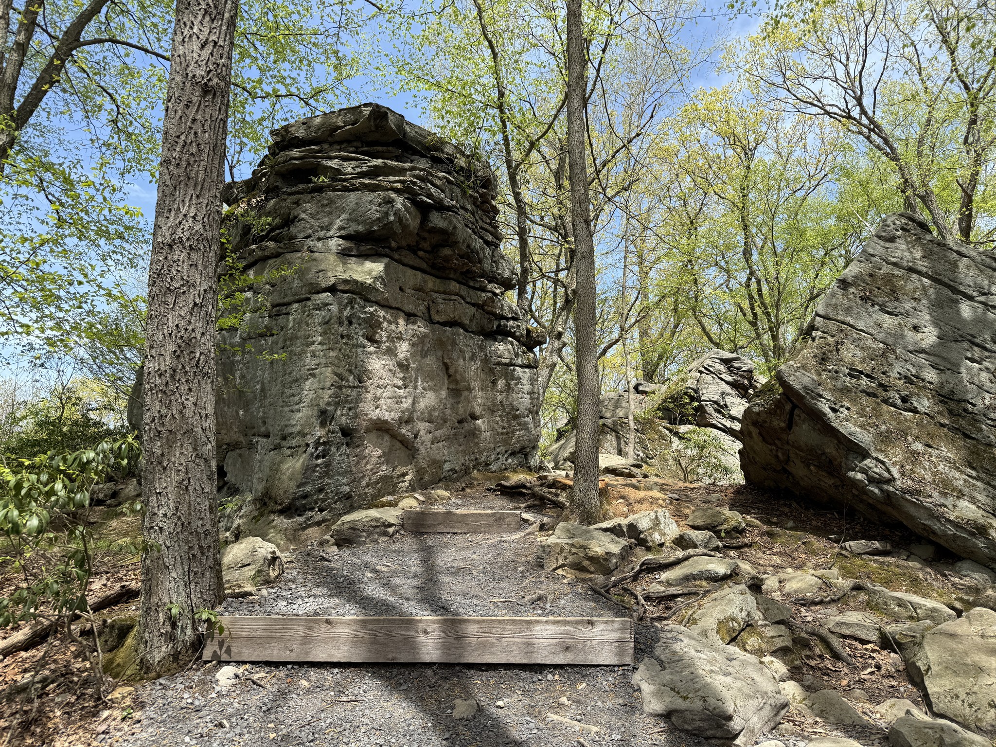 Wandering - Beartown Rocks Overlook Clear Creek State Forest Beartown ...