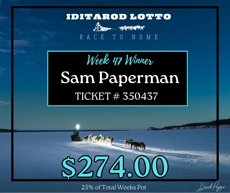 The Iditarod - Another 2026 Iditarod Rookie strikes gold in this week’s ...