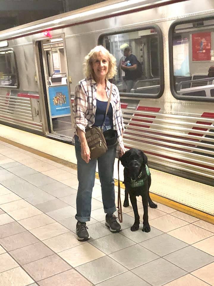 Our amazing raisers Steve and Bonnie took puppy in training Sprinter on ...