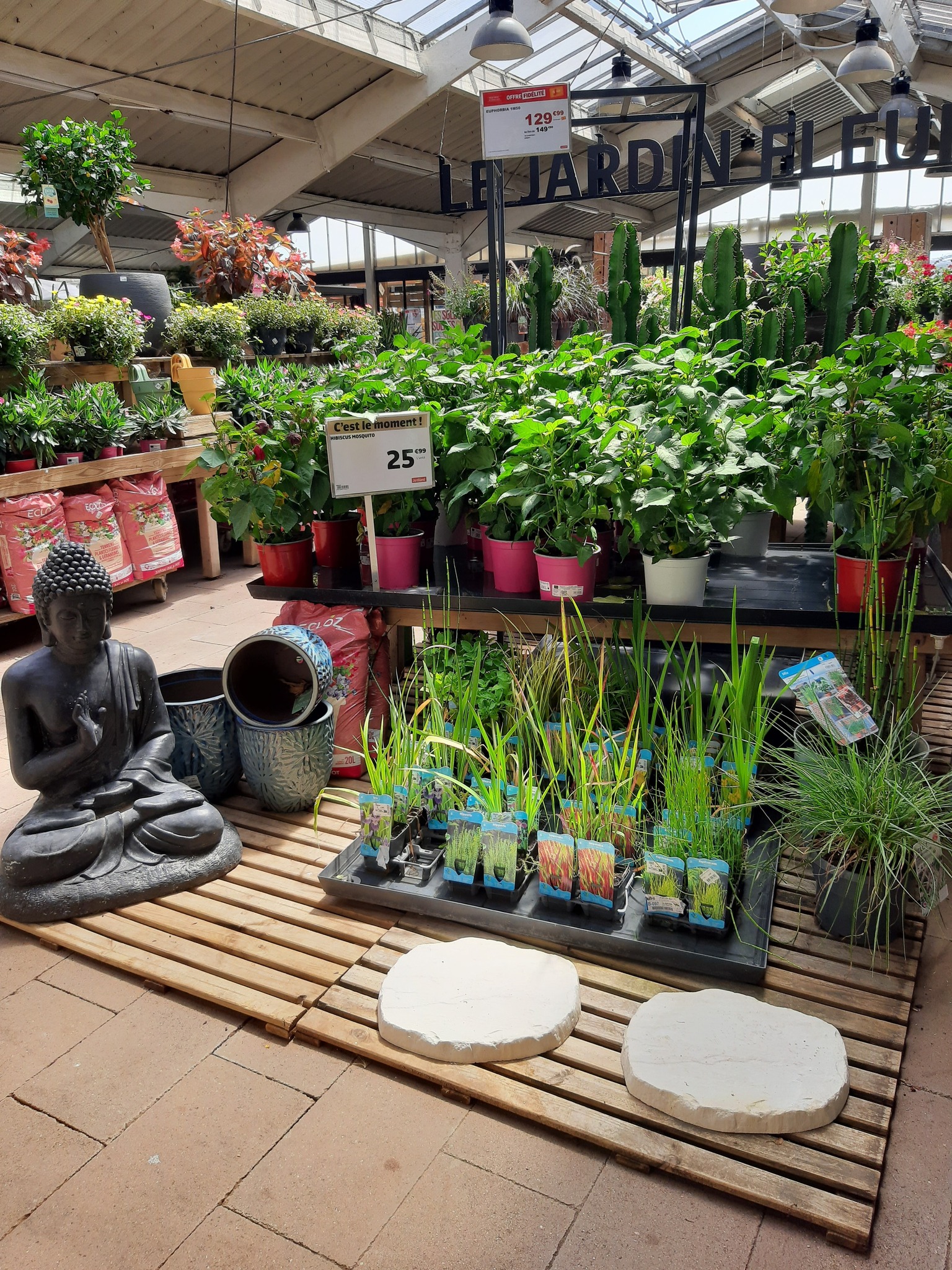 Sitemapcdatahttpsfoowindecoocomstatue Jardin Jardiland