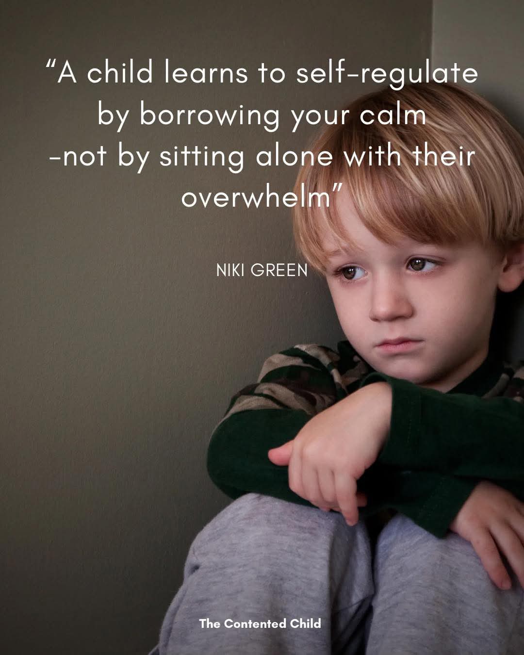 Special Education Community | Regulation is taught through presence ...