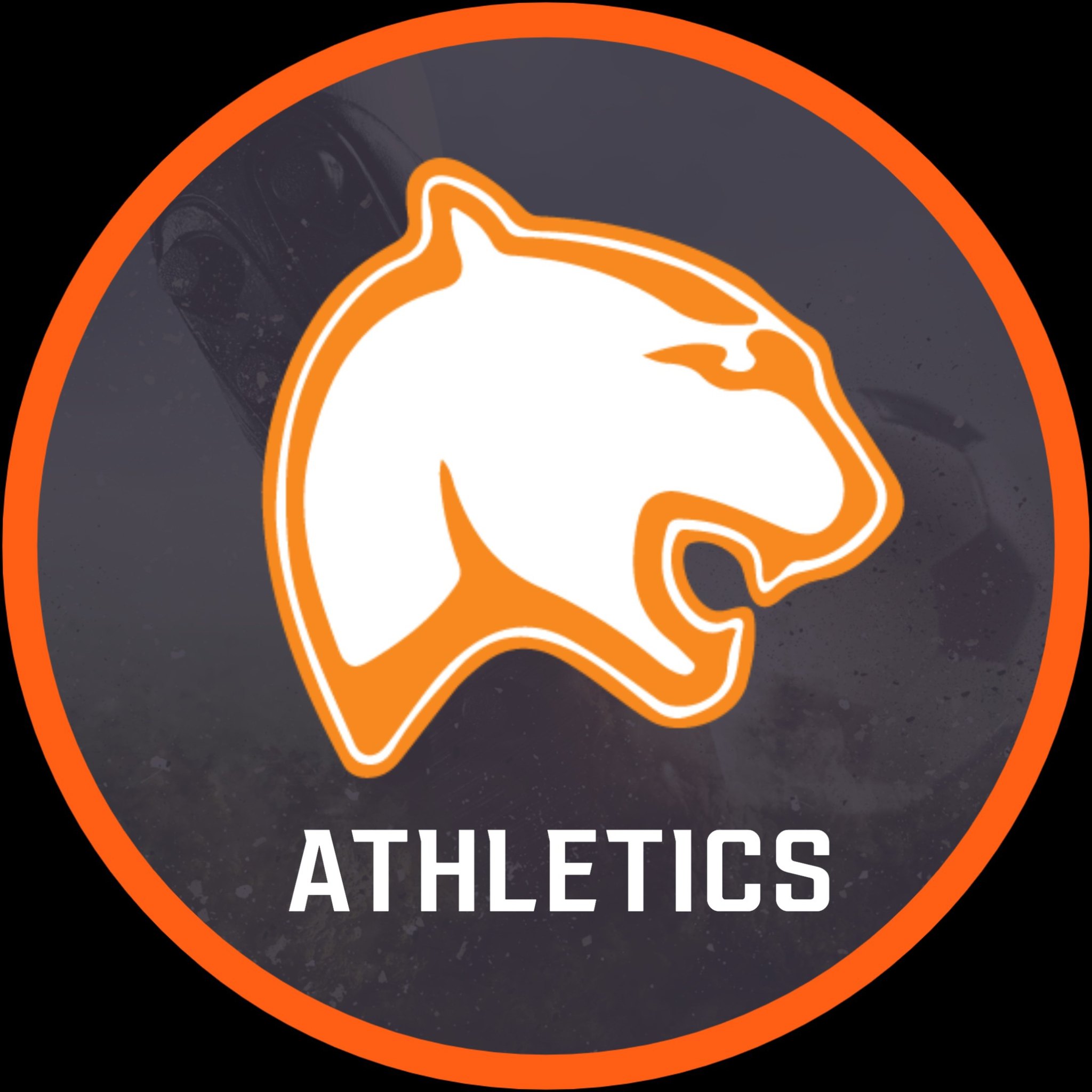Congratulations to Elise... - Sylvania Southview Athletics | Facebook