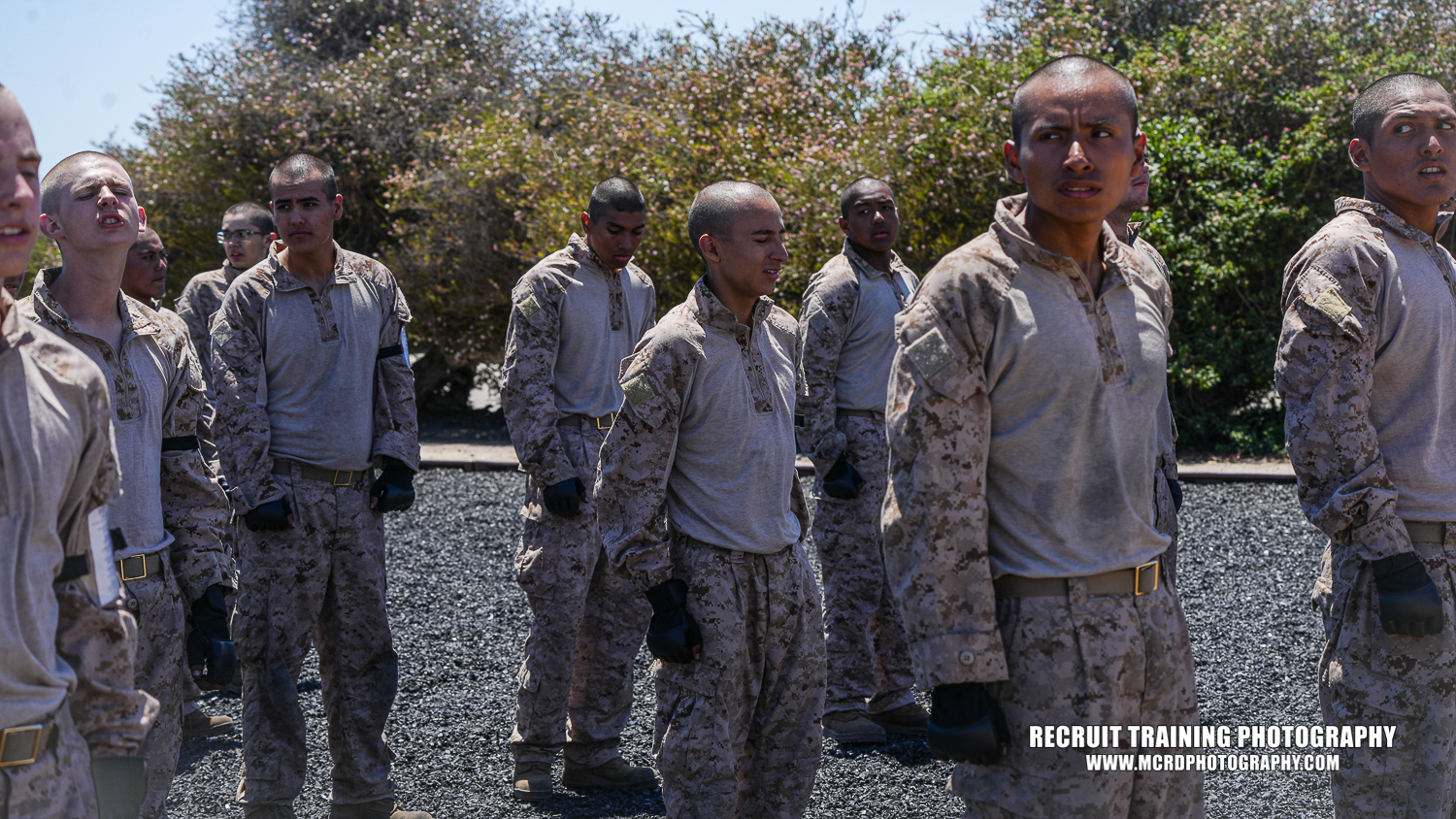 Recruit - Shop here - https://dub.sh/once-lifetime This is a once in a ...