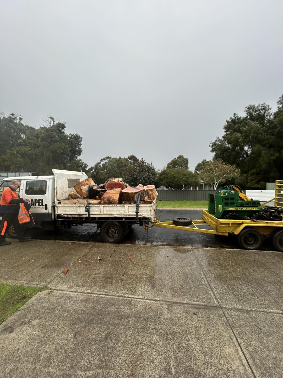Capel Tree Service | Capel WA