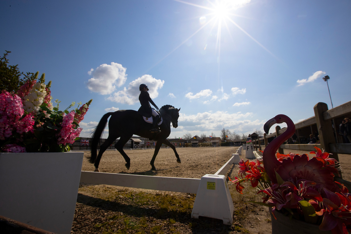 Amber Hennes Dressage - 📸📸📸📸📸📸📸📸📸📸📸📸📸📸📸📸📸📸 Hebben jullie ook nog leuke ...