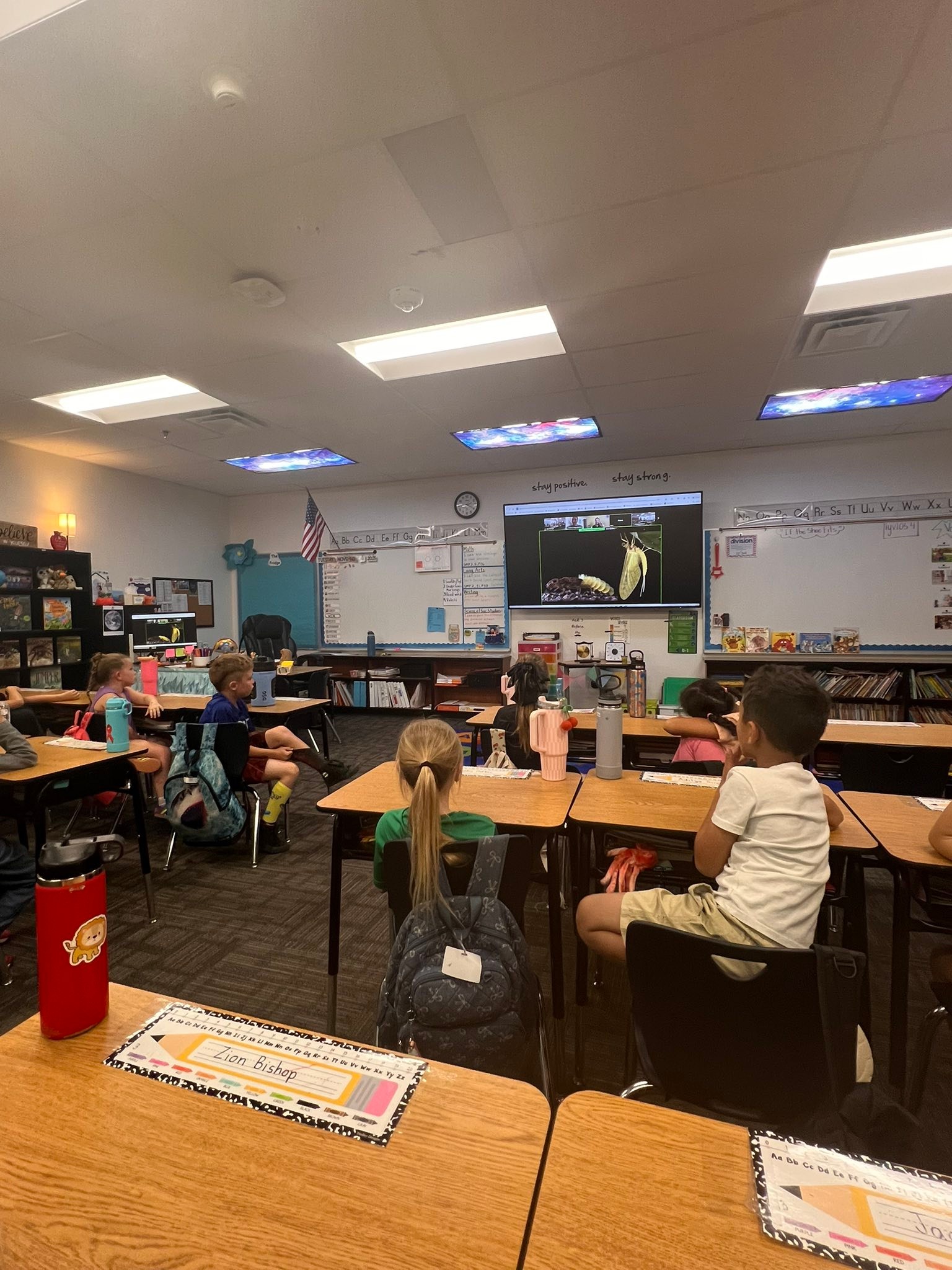🎉 Amazing Learning... - Robert Rice Elementary School | Facebook