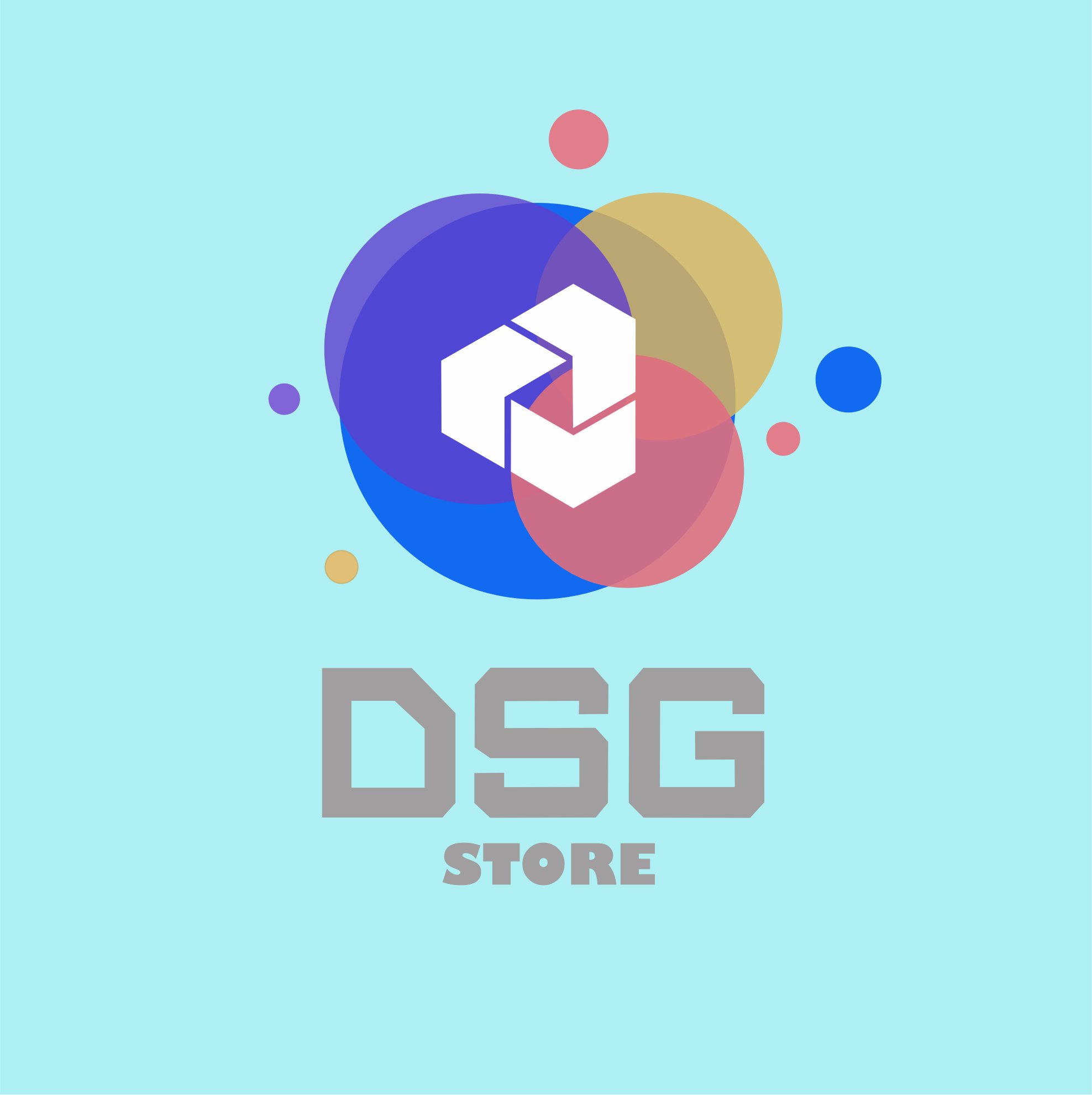 DSG STORE