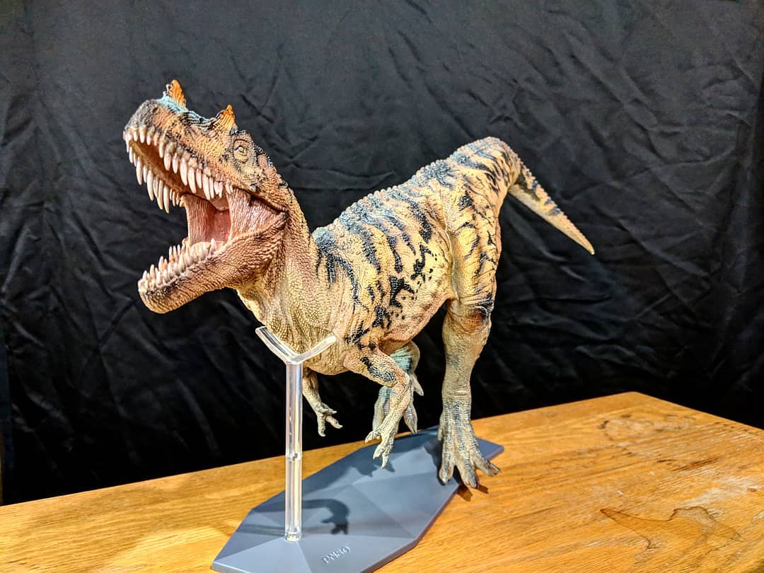 Meet Nick the Ceratosaurus from PNSO prehistoric animal models