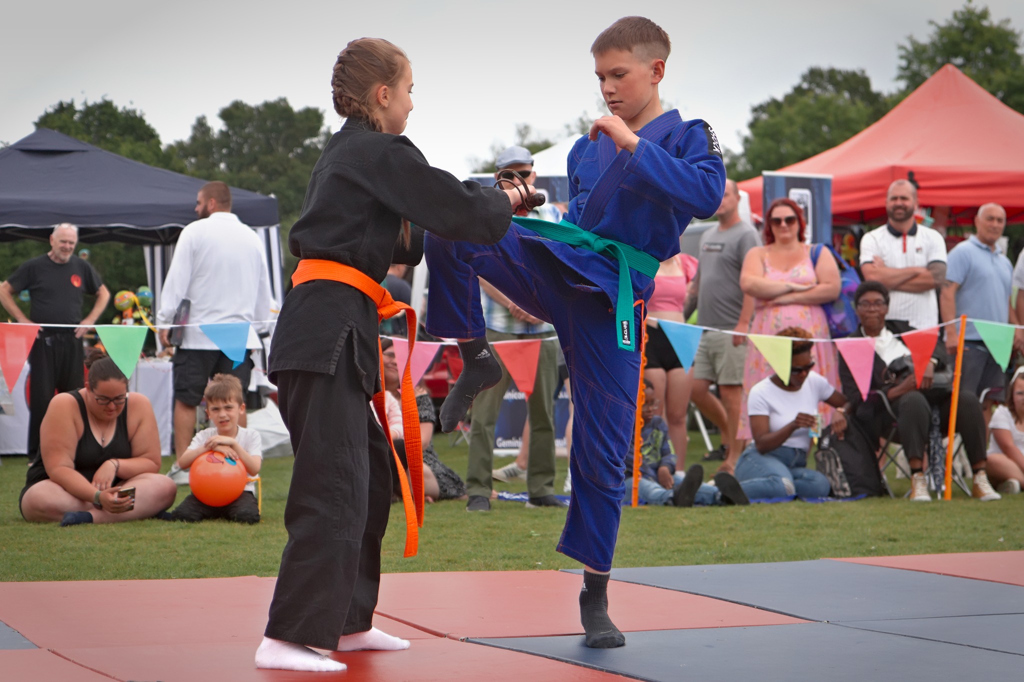 Hampshire Taiho Jutsu