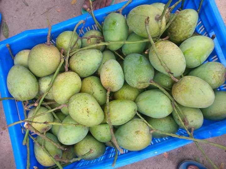 Mini Market | Rangpur