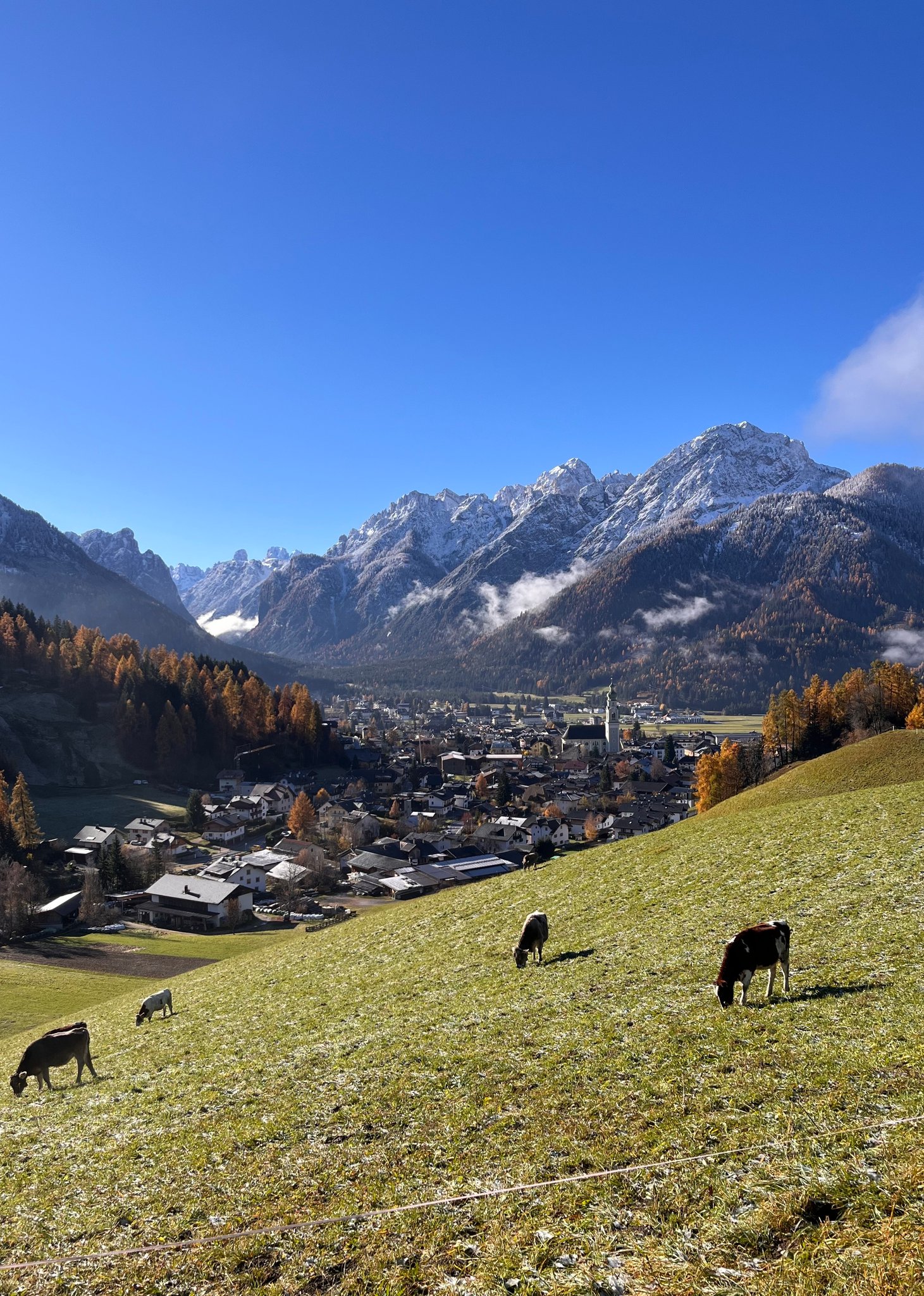 Passione - Buongiorno e buona domenica da Dobbiaco in Alta Pusteria ...