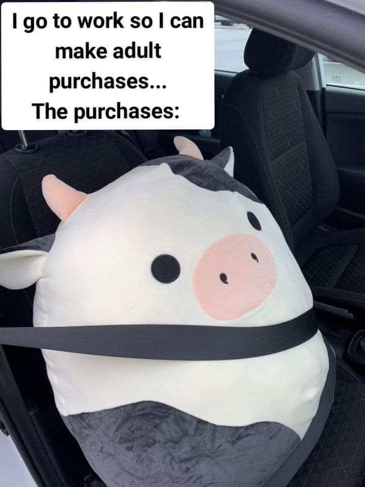 i Love Cows 🐄 | Cow everything 🐄🐄 | Facebook