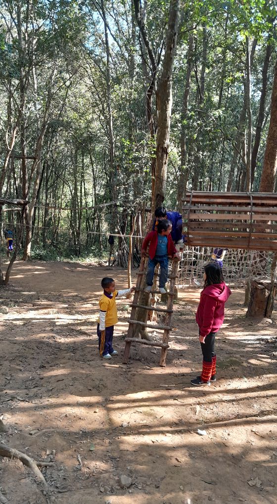 Springwood Jungle Adventure Park, perfect venue for nature activity ...